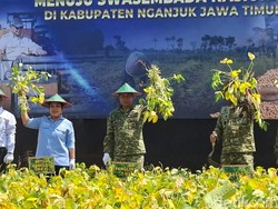 Nganjuk Panen Raya Kedelai, Jadi Model Percepatan Swasembada Nasional