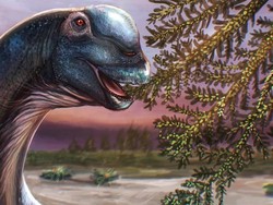 Dinosaurus Raksasa Teridentifikasi dari Fosil di Thailand, Dinamai Nagatitan