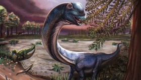 Fosil Dinosaurus Terbesar Asia Tenggara Ditemukan di Thailand