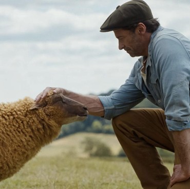 Sinopsis Film The Sheep Detectives, Kematian Gembala yang Diungkap Para Domba