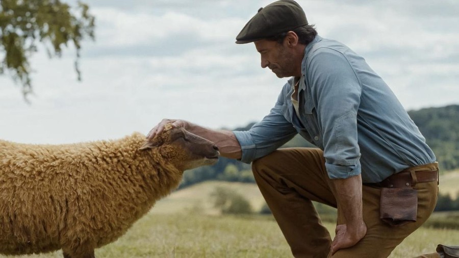Film The Sheep Detectives