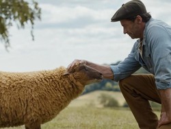 Sinopsis Film The Sheep Detectives, Kematian Gembala yang Diungkap Para Domba