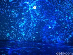 Museum Zoologi Bogor Kini Lebih Hidup, Immerzoa Jadi Daya Tarik Baru