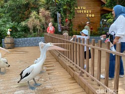 Wisatawan Serbu Jatim Park 2 Kota Batu Sejak Awal Libur Panjang