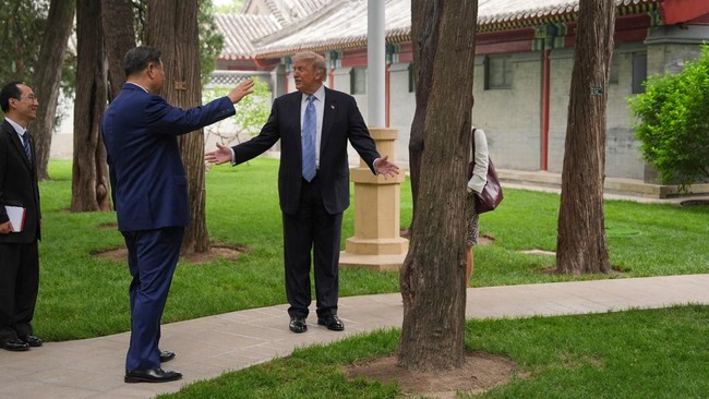 Xi Jinping Pamer Pohon, Donald Trump Kaget Komentar Tak Biasa