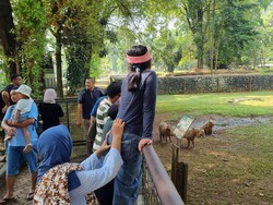 Cerita Warga Cianjur Ajak Anak Liburan di Ragunan: Penasaran Lihat Kapibara