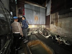 Kandang Ternak Disulap Jadi Sarang Narkoba di Medan