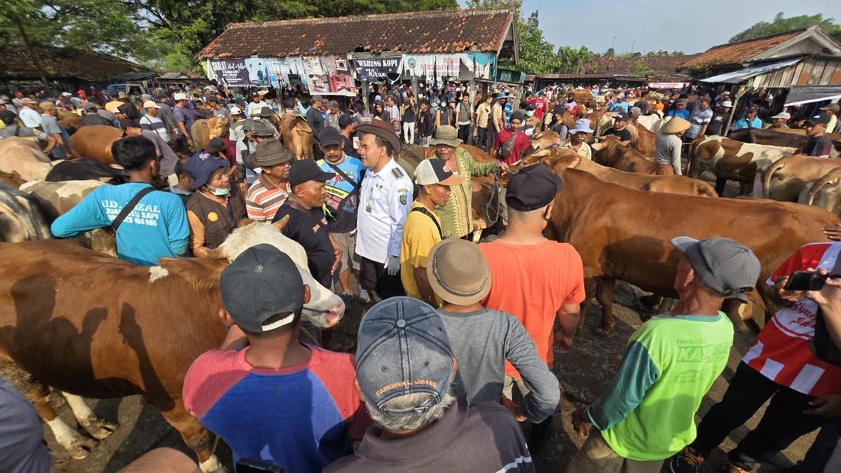 Bupati Blora Pantau Perdagangan Hewan Ternak Jelang Iduladha 2026