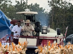 Video: Prabowo Naik Traktor, Ikutan Panen Jagung di Tuban Jatim