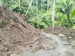 Dua Hari Diguyur Hujan Deras, Karangasem Dilanda Longsor dan Pohon Tumbang