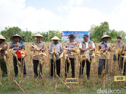 Sinergi Petani dan Polisi Bojonegoro Ikut Panen Raya Jagung via Virtual