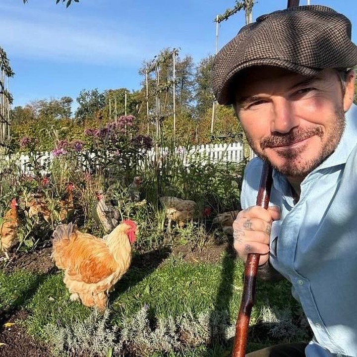 <p>David Beckham diketahui memanfaatkan lahan di rumahnya untuk berkebun dan beternak. Ia memelihara ayam, membuat madu, hingga menanam berbagai tanaman sendiri.&nbsp;(Foto: Instagram@davidbeckham)</p>