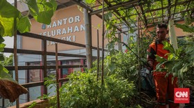 FOTO: Kelurahan Tangki Sulap Atap Kantor Jadi Lumbung Pangan