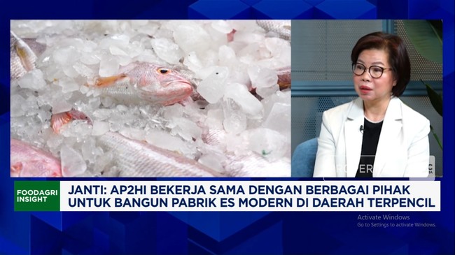 Video: Masalah Perikanan Tuna: Ketersediaan Pabrik Es-BBM Bagi Nelayan