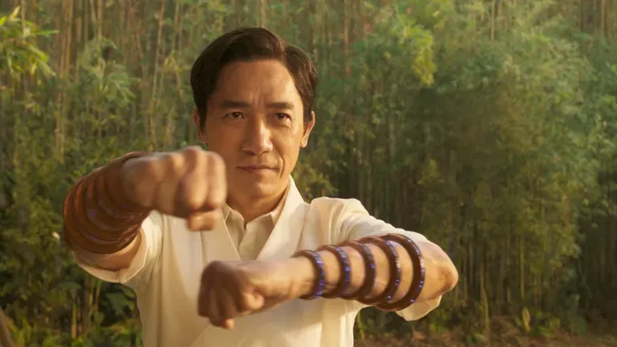 Tony Leung Chiu Wai