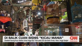 VIDEO: Di Balik Cuan Bisnis 