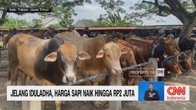 VIDEO: Jelang Iduladha, Harga Sapi Naik Hingga Rp2 Juta