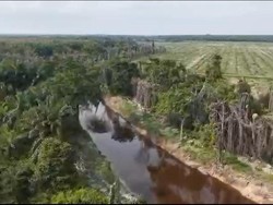 Bikin Bibir Sungai Ternodai, Korporasi Sawit di Riau Dijerat Polisi