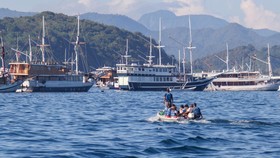 Sejumlah wisatawan menggunakan sekoci menuju kapal phinisi untuk melanjutkan perjalanan wisata ke kawasan Taman Nasional Komodo (TNK) Labuan Bajo, Manggarai Barat, Nusa Tenggara Timur (NTT), Kamis (7/5/2026). Kenaikan harga bahan bakar minyak (BBM) n