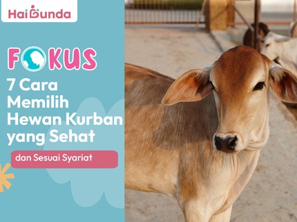 7 Cara Memilih Hewan Kurban yang Sehat dan Sesuai Syariat