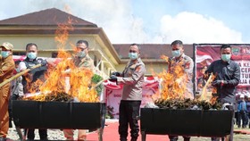 Kapolda Sumsel Pimpin Pemusnahan 200 Kg Ganja: Narkoba Merusak Bangsa