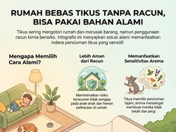 Rumah Bebas Tikus Tanpa Pakai Racun, Bisa Coba Bahan Alami Ini