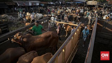 FOTO: Geliat Pasar Hewan Jonggol Jelang Iduladha