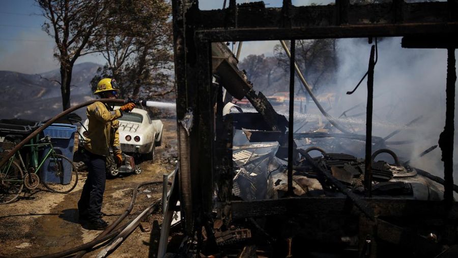Kebakaran hutan berskala besar telah menghanguskan nyaris sepertiga wilayah Pulau Santa Rosa di Taman Nasional Channel Islands, California, Kamis (21/5/2026). (REUTERS/Daniel Cole)