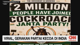kecoak