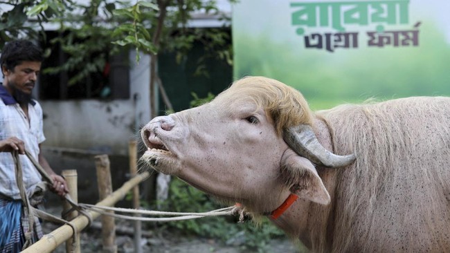 REUTERS/Mohammad Ponir Hossain