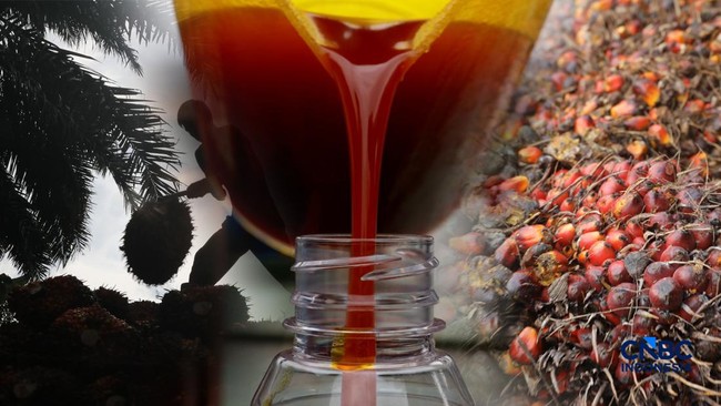 Daftar Raksasa Sawit Swasta RI, Produksi Jutaan Ton CPO-Kuasai Lahan