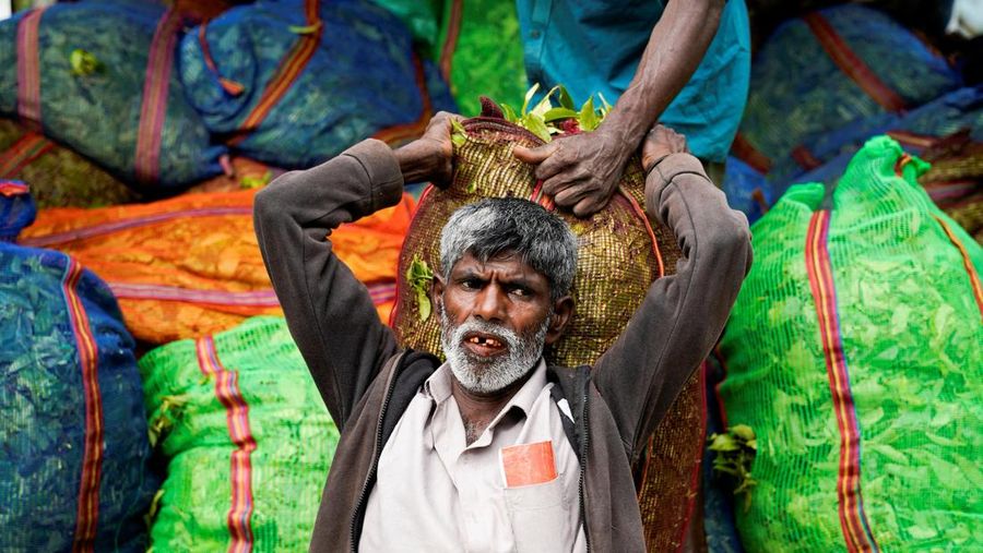 Seorang pekerja menurunkan karung berisi daun teh nan baru dipetik dari sebuah kendaraan di Perkebunan Teh Dunkeld di Hatton, Sri Lanka, 29 April 2026. (REUTERS/Akila Jayawardena)