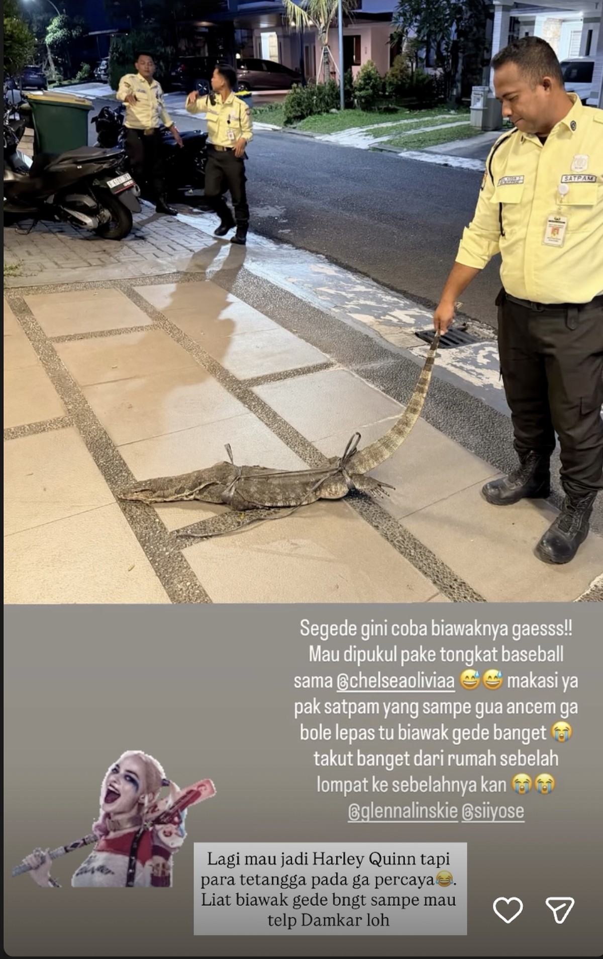 Penangkapan biawak di rumah Chelsea Olivia&period;