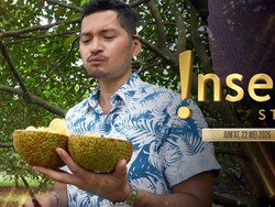 Insert Story: Petik Langsung dari Pohon, Evan Cobain Carica-Sawo Raksasa