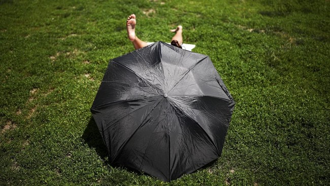 A person sits under an umbrella in Central Park in the Manhattan borough of New York City on May 20, 2026. (Photo by CHARLY TRIBALLEAU / AFP)