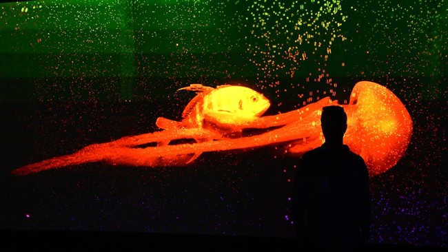 The Mosaic jelyfish is displayed on a screen at the Aquarium of the Pacific's new