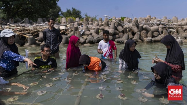 Di perairan Pulau Tidung, Jakarta, langkah-langkah kecil generasi muda menyatu dengan ombak dalam kegiatan edukasi pelestarian ekosistem laut.
