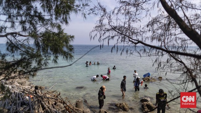 Di perairan Pulau Tidung, Jakarta, langkah-langkah kecil generasi muda menyatu dengan ombak dalam kegiatan edukasi pelestarian ekosistem laut.