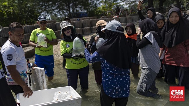 Siswa-siswi SMP Hayat School dan SMA Al Kahfi mengikuti kegiatan edukasi pelestarian ekosistem Laut.