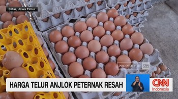 Harga Telur Anjlok hingga Rp21 Ribu, Peternak Resah