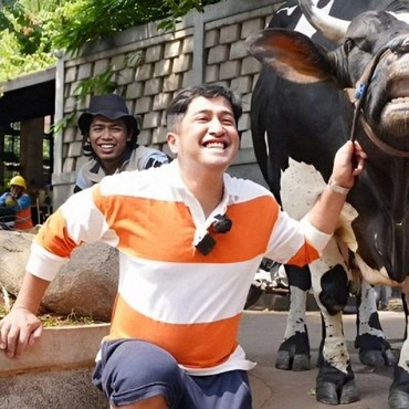 Ingat Lagi Sapi Kurban Unik Para Artis pada Iduladha Tahun Lalu, Dari Pilihan Ricis hingga Dilema Irfan Hakim