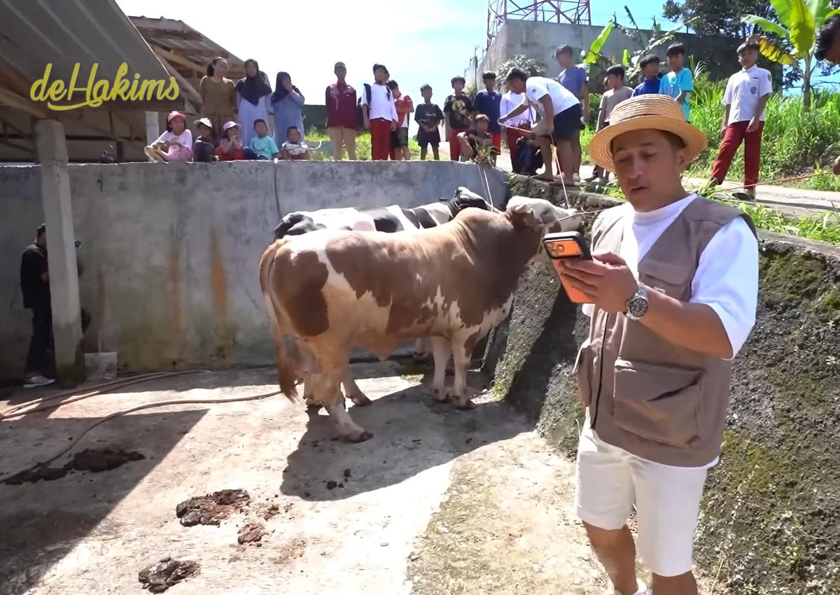 Sapi kurban Seskab Teddy yang dipesan di Irfan Hakim