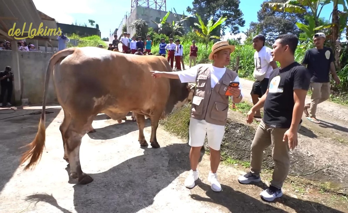 Sapi kurban Seskab Teddy yang dipesan di Irfan Hakim