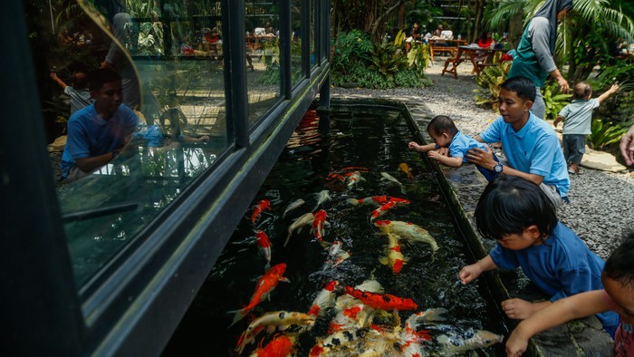 Di tengah padatnya kawasan perkotaan Bekasi, terdapat sebuah kafe bernuansa alam yang belakangan menjadi favorit warga untuk bersantai bersama keluarga. Berlokasi di kawasan Jatimurni, Pondok Melati, tempat bernama Susy Garden ini menawarkan pengalaman nongkrong berbeda dengan suasana hijau, udara teduh, serta konsep taman terbuka yang nyaman.