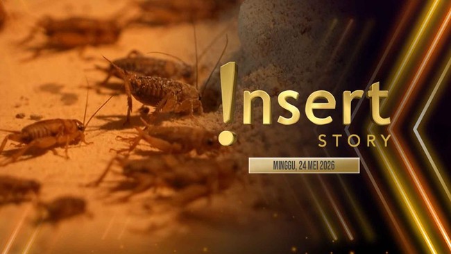 Insert Story: Ternak Jangkrik di Banyuwangi, Marshel Widianto Jadi Manusia Silver