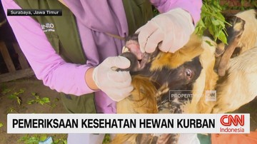VIDEO: Pemeriksaan Kesehatan Hewan Kurban