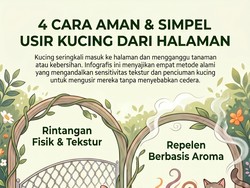 Cara Aman dan Simpel Usir Kucing Liar dari Halaman Rumah