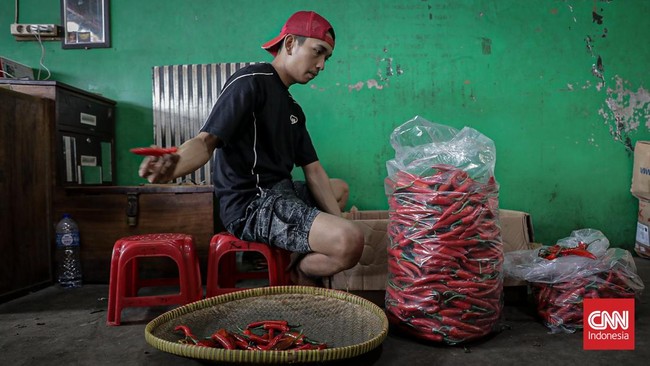 Harga Cabai Naik Jelang Iduladha