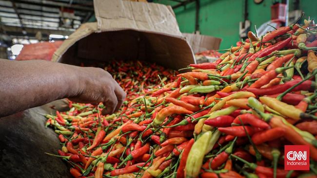 pedagang menata cabai merah di lapak Pasar Keramat Jati, Jakarta Timur, Senin (25/5/2026). (CNN Indonesia/Febria Adha L)