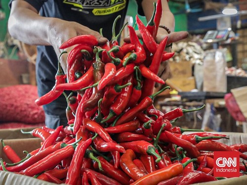 Kemendag mengungkap cabai merah dan bawang merah masih menjadi komoditas pangan segar yang paling rentan terpapar residu pestisida di atas batas aman.